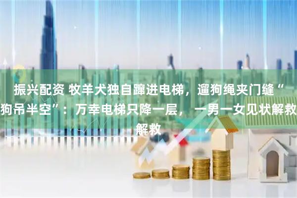 振兴配资 牧羊犬独自蹿进电梯，遛狗绳夹门缝“狗吊半空”：万幸电梯只降一层， 一男一女见状解救