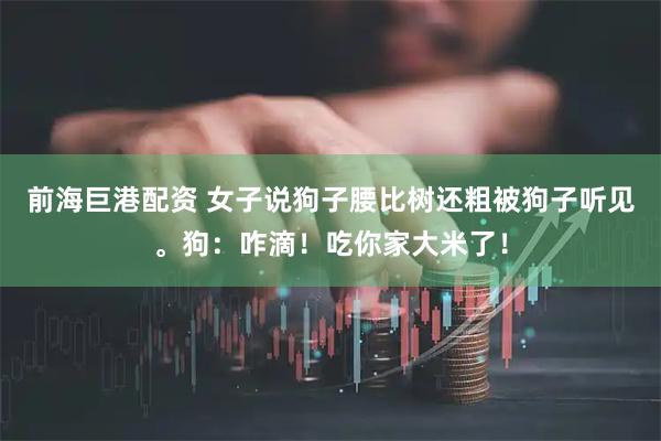 前海巨港配资 女子说狗子腰比树还粗被狗子听见。狗：咋滴！吃你家大米了！