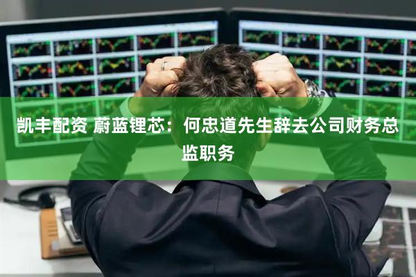 凯丰配资 蔚蓝锂芯：何忠道先生辞去公司财务总监职务