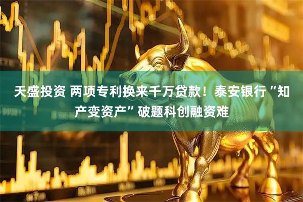 天盛投资 两项专利换来千万贷款！泰安银行“知产变资产”破题科创融资难