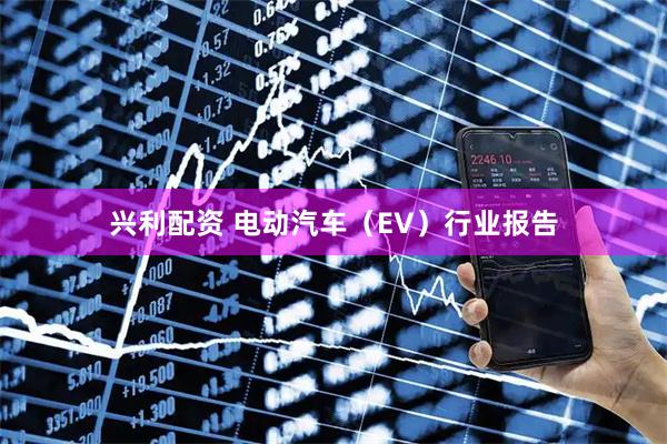 兴利配资 电动汽车（EV）行业报告