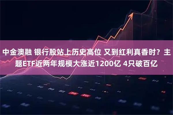 中金澳融 银行股站上历史高位 又到红利真香时?主题ETF近两年规模大涨近1200亿 4只破百亿
