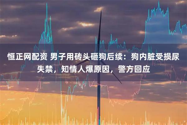 恒正网配资 男子用砖头砸狗后续：狗内脏受损尿失禁，知情人爆原因，警方回应